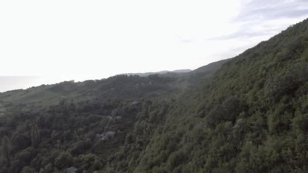 Espetacular Paisagem Mar Negro Abecásia Longa Costa Colina Verde Com — Vídeo de Stock