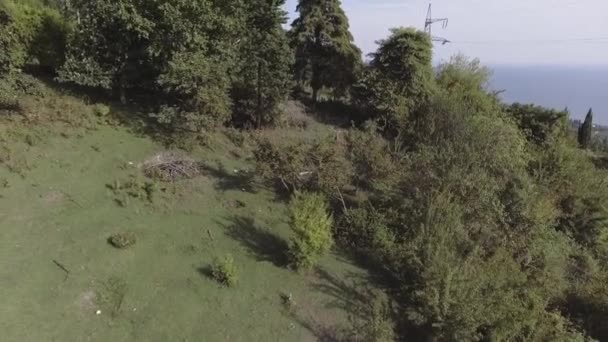 Increíble paisaje aéreo de bonito valle con árboles, arbustos y colinas verdes . — Vídeos de Stock