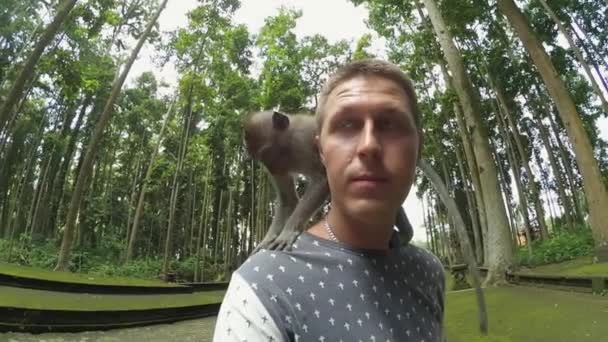 Portrait of cute guy standing in park with biting monkey on his shoulders — Stock Video