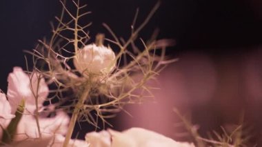 Büyük yeşil çiçeklerle closeup görünümünü bir yerde karanlık oda bırakır.