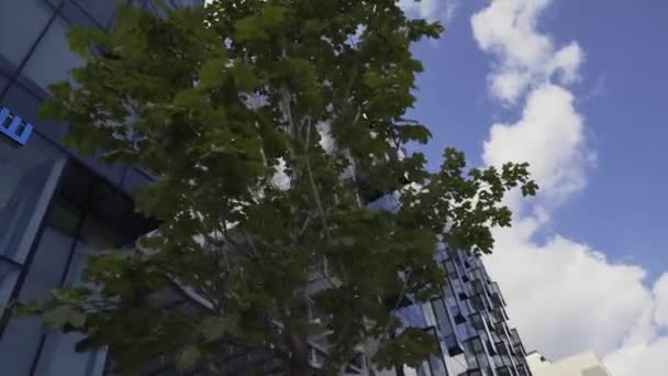 Bloc urbain créatif avec immeubles de grande hauteur avec façade vitrée et balcons — Video