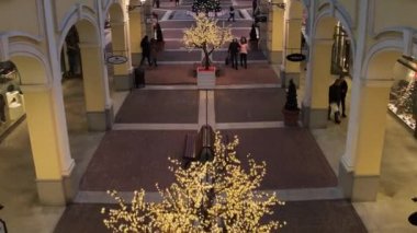 Işık sokak ile süslenen çam ağacı, aydınlatılmış binalar ve