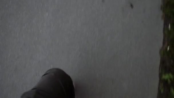 Persona en zapatillas blancas corre en la acera con la cámara a lo largo de la carretera grande con coches — Vídeo de stock