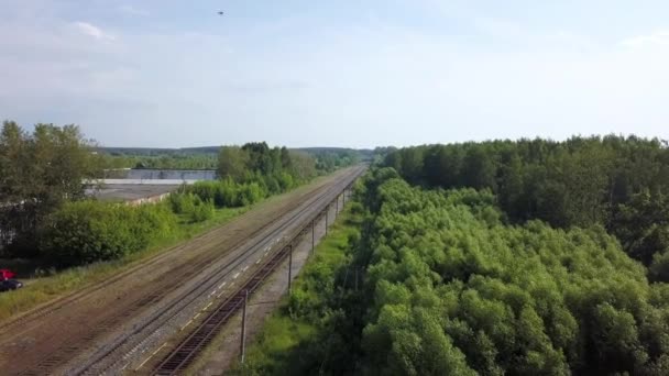 Aerial of four rows of long railways layng along green line of bushes and trees — Stock Video