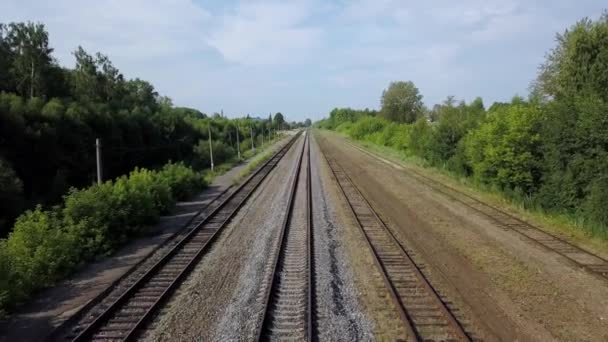 Vier Reihen von langen Eisenbahnen entlang der grünen Linie von Büschen und Bäumen — Stockvideo