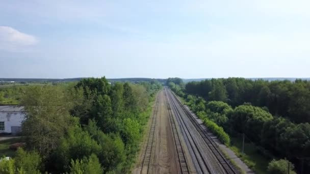 Summer scenery of empty long railways laying along green line of forest trees. — Stock Video