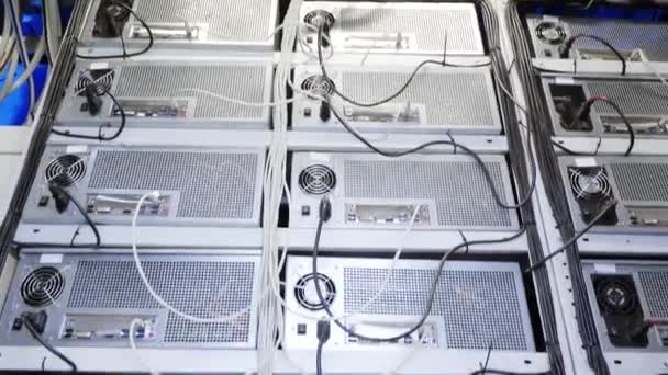Sala de servidores para granjas mineras bitcoin con mineros instalados en estantes con cable — Vídeo de stock