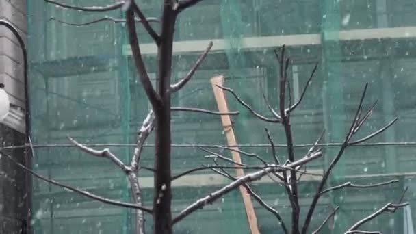 Paysage de la maison est recouvert d'un filet de construction vert le jour de neige d'hiver — Video