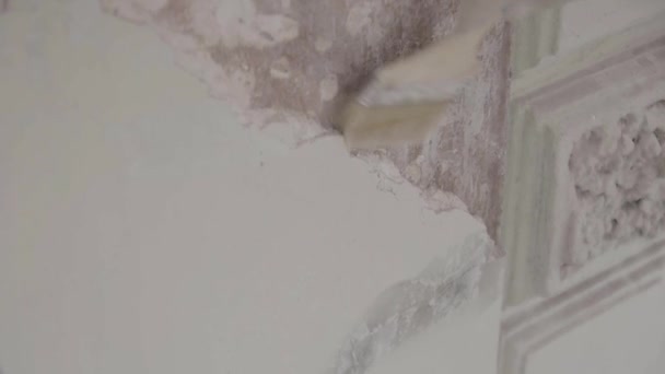 Рука в захисних рукавичках розмиває пил пензлем з тріщини в стіні — стокове відео