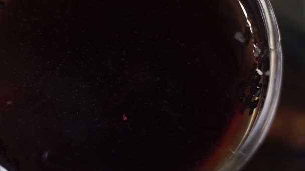 Herbes violettes séchées tombent sur la surface du liquide de thé chaud dans un bol en verre . — Video