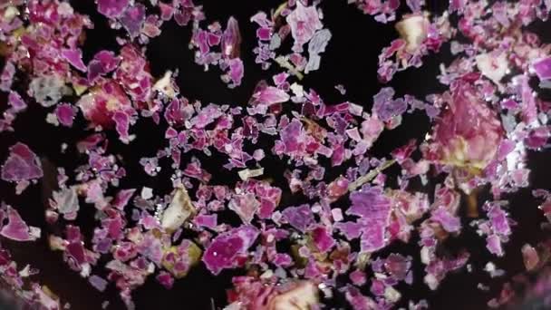 Macro weergave van gedroogde paarse bloemblaadjes fluctueren op het oppervlak van donker water. — Stockvideo