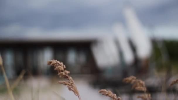 SAN PETERSBURG, RUSIA - 6 DE AGOSTO DE 2018: La hierba seca revolotea en el viento frente a un balneario de madera en un día nublado de verano — Vídeos de Stock