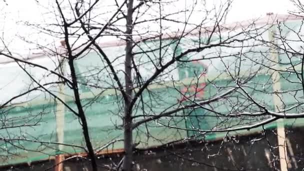 Sint-Petersburg, Rusland-15 december 2018: naakte boom op sneeuwde dag met achtergrond van werknemer staande op steigers — Stockvideo