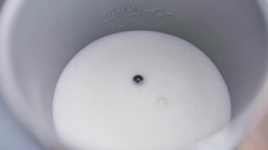 Süt alt küçük wisk ile metalik elektrikli süt köpüklendiricisi vardır sarsılıyor