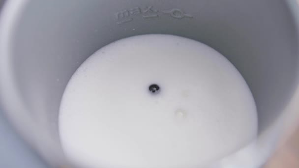 Le lait est secoué dans le mousseur de lait électrique métallique avec un petit wisk sur le fond — Video