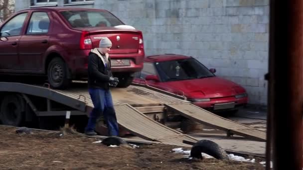 Szentpétervár, Oroszország-június 22, 2019: az ember a kupakot és a kabát lesz kész a kiadás barna autó vontató teherautó. — Stock videók