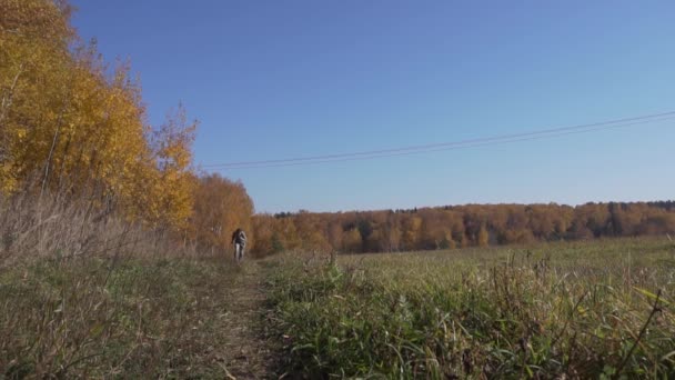 Adulto ragazzo in verde goody è in esecuzione in campagna solo lungo campi e alberi — Video Stock