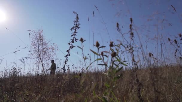 Homem agarra árvore fina além do campo com grama seca balançando no vento no dia ensolarado . — Vídeo de Stock