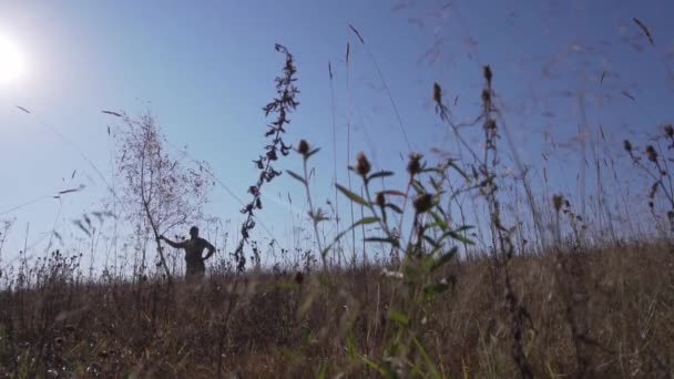 Muž třese tenkým stromem za polem se zaschlou trávou houpající se ve větru za slunečného dne. — Stock video