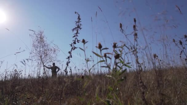 Guy schudt dunne boom voorbij het veld met gedroogd gras zwaaien op de wind op zonnige dag. — Stockvideo