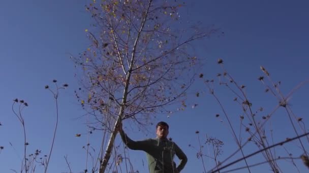 Junger kaukasischer Mann schüttelt Baum mit gelben Blättern vor blauem Himmel — Stockvideo
