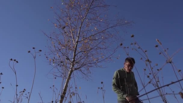 Homem caucasiano jovem sai da árvore fina com folhas amarelas no dia claro . — Vídeo de Stock