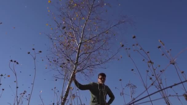 Kaukasisch mannetje schudt boom met gele bladeren op achtergrond van blauwe lucht — Stockvideo