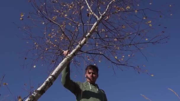 Muž v zelené mikině třese stromem se žlutými listy na pozadí modré oblohy — Stock video