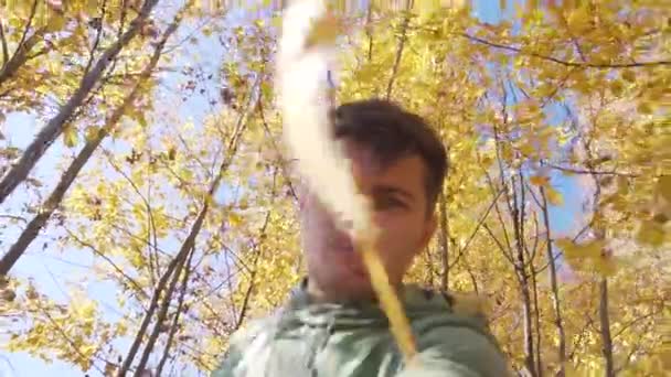 Gutaussehender Kerl im Kapuzenpulli steht unter Bäumen mit gelben Blättern in der Landschaft. — Stockvideo
