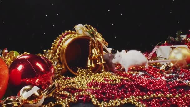 Deux mignons rats blancs et gris domestiques se déplacent le long des décorations du Nouvel An .