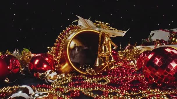 Deux mignons rats blancs et gris domestiques se déplacent le long des décorations du Nouvel An .