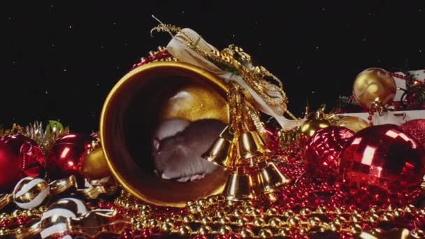 Caméra montre de près les rats se déplaçant dans le pot d'or amont décorations Nouvel An .