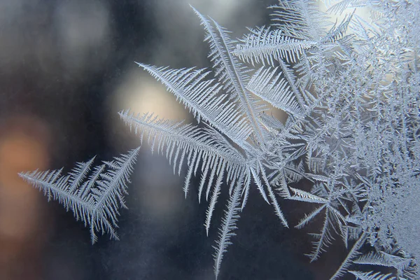 Padrões Gelo Janela Congelada — Fotografia de Stock