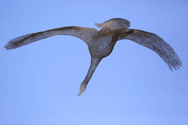 örgülü tel SWA uçan