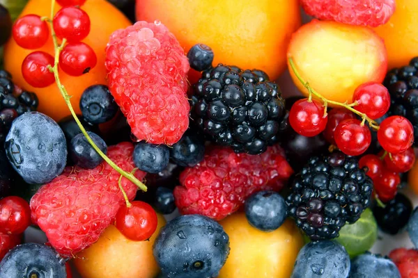 Viele Frische Verschiedene Beeren — Stockfoto