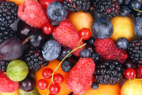 Viele Frische Verschiedene Beeren — Stockfoto