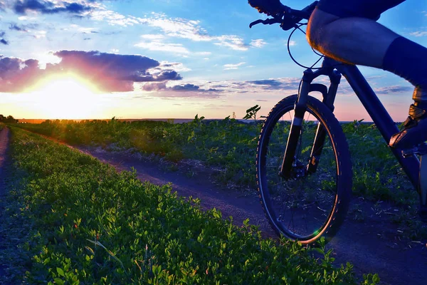 bisikletçi bir bisiklet ile günbatımında bir yolda gidiyor