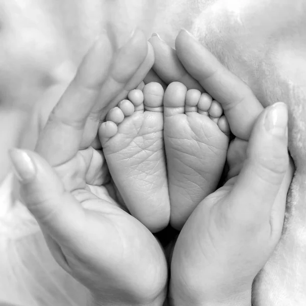 Máma Drží Rukou Nohy Novorozence — Stock fotografie