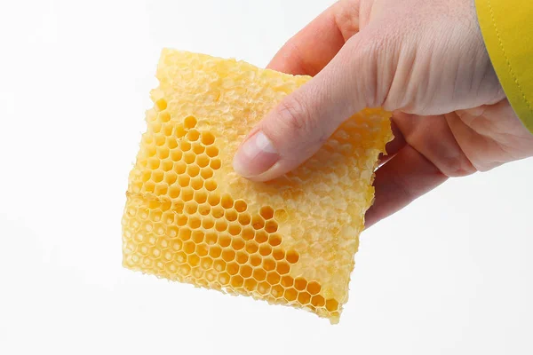 Honing Kam Hand Witte Achtergrond — Stockfoto