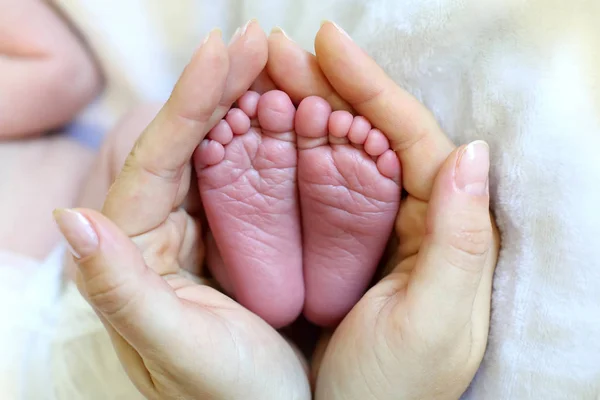 Mom Holds Her Hands Feet Newborn Baby — Stock Photo, Image