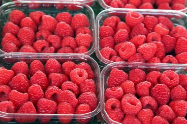 sal üzerinde kaplarda ahududu berry