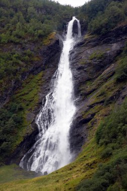 Dağlık ve ormanlık alanlarda büyük şelale