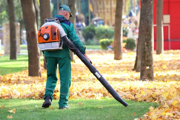 Parkta çalışma yaprakları ile bir blowe kaldırır