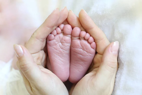 Mom Holds Her Hands Feet Newborn Baby — Stock Photo, Image