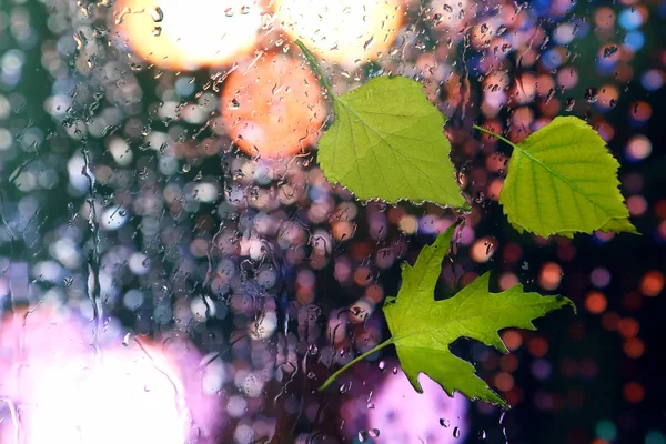 Осенние Листья Мокром Окне Фоне Дождливой Погоды — стоковое фото