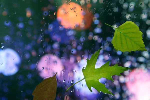 Осенние листья в дождливую погоду на стекле — стоковое фото