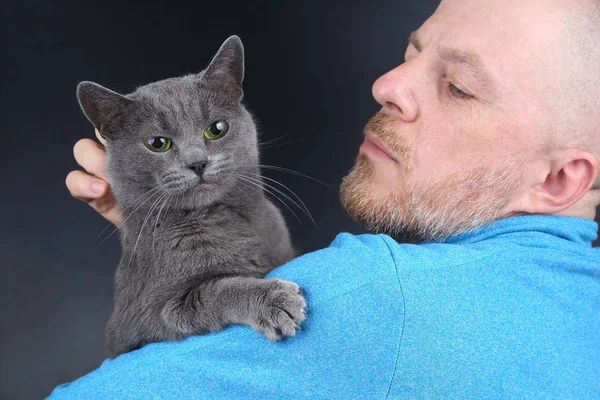 Gato Gris Sentado Hombro Hombre Barbudo — Foto de Stock