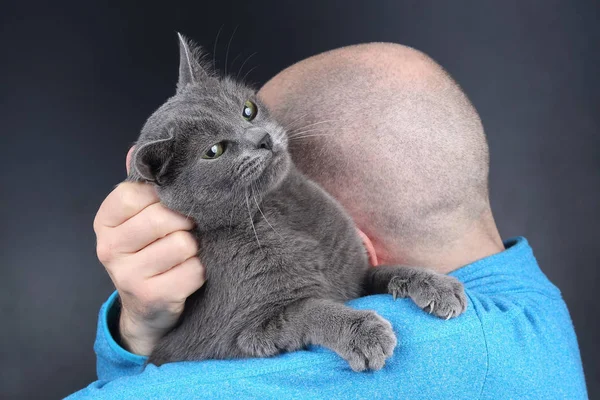 Gato gris sentado en el hombro de un hombre — Foto de Stock