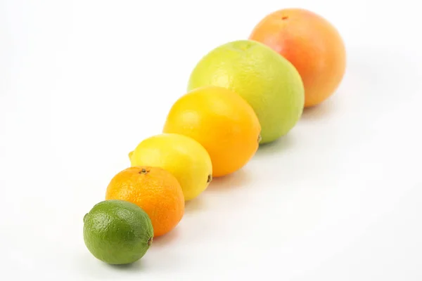 Frutas Cítricas Diferentes Fundo Branco — Fotografia de Stock