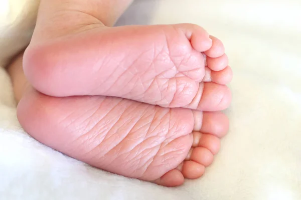 Feet Sleeping Newborn Baby Close — Stock Photo, Image